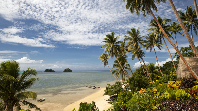 a beach in Fiji