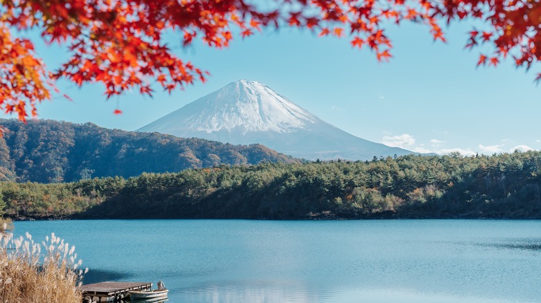 Mount Fuji from a distance