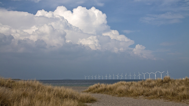 Copenhagen's Amager Strandpark