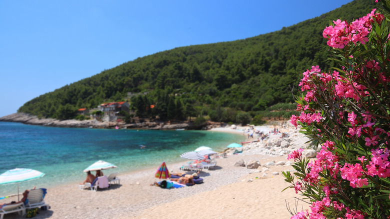 Beach on Korcula Island