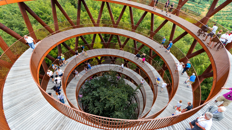 Forest Tower at Camp Adventure