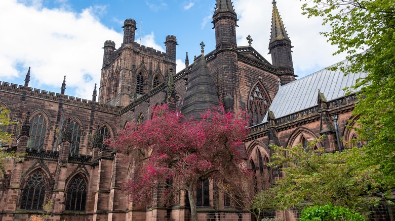 Stunning Chester Cathedral