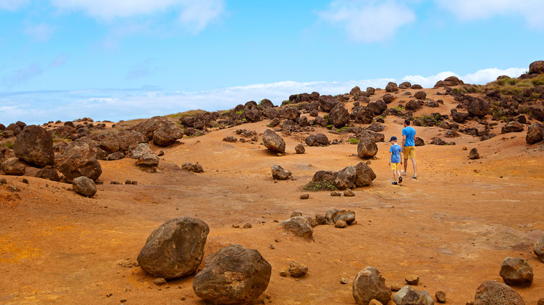 Lanai's Garden of the Gods