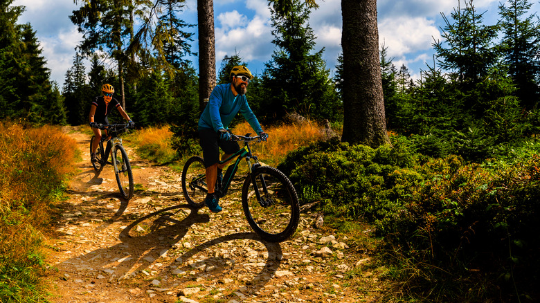 Mountain biking in a forest