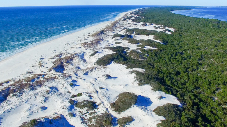 Sand dunes, Cape San Blas