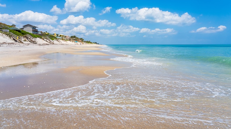 A clean beach in Melbourne