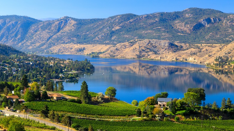 Lake in Okanagan Valley