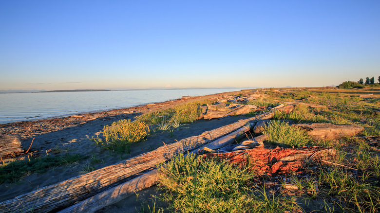 Beach in British Columbia, Canada