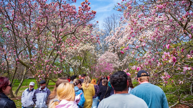 People at Rochester Lilac Festival