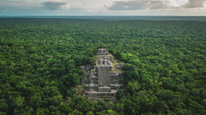 The Mayan pyramid at Calakmul