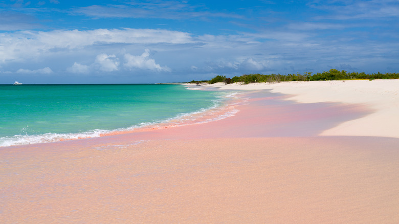 Pink sands of Barbuda