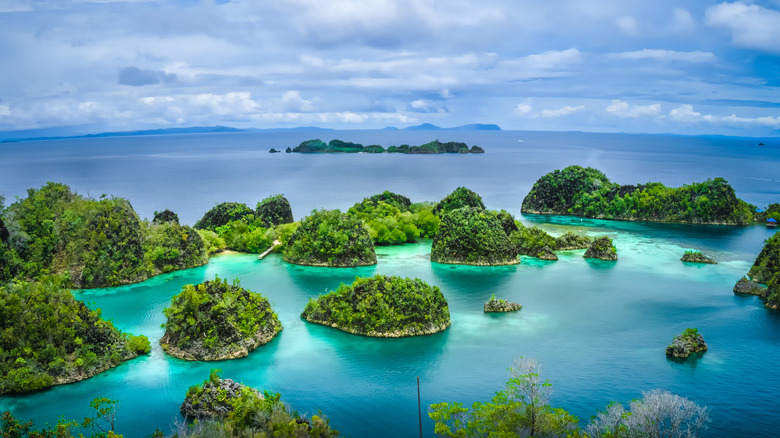 Limestone atolls from Raja Ampat