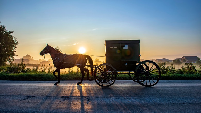 Amish buggy at sunset