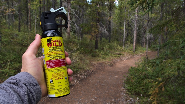 Person holding bear spray outdoors