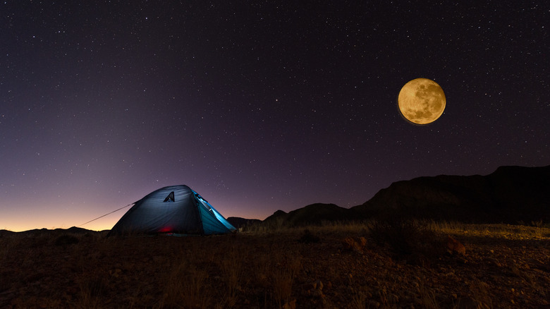 Camping under stars, South Africa