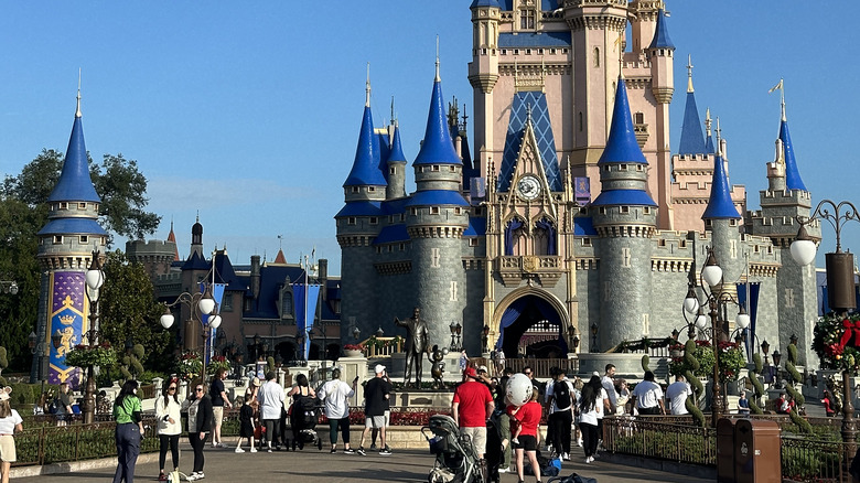 Crowds by Magic Kingdom