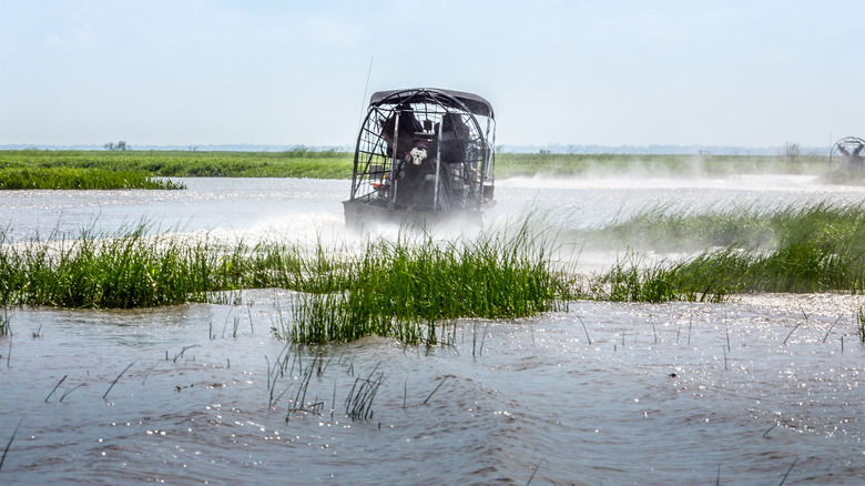 Airboat ride in Everglades