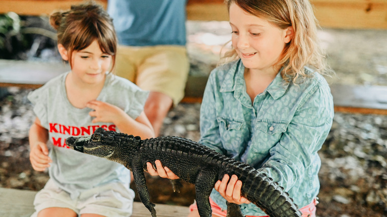 Girls hold baby alligator