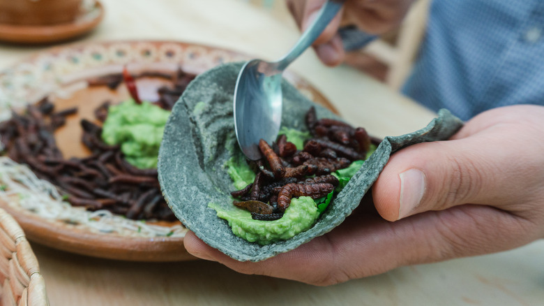 Chinicuiles, guacamole and worm tacos