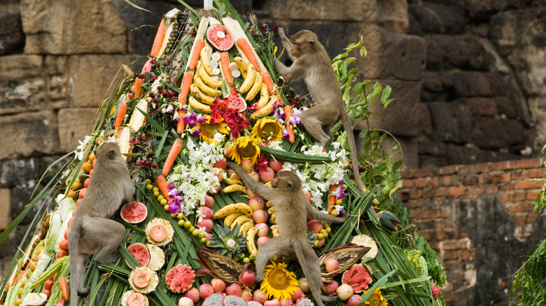 Monkeys climbing fruit tower