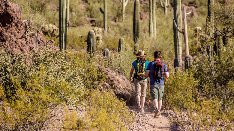 hikers in the Arizona desert