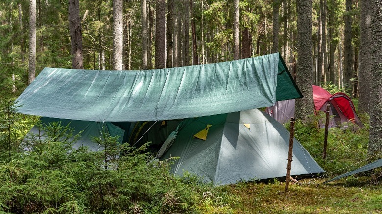 tent with a camping canopy