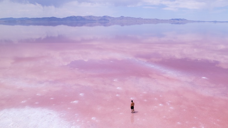 Person standing in pink lake, Utah