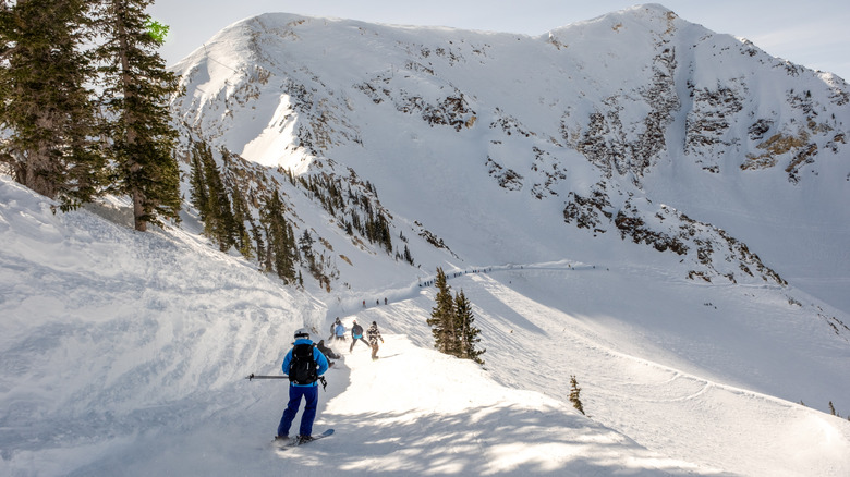 Skiers cruising down Snowbird slopes