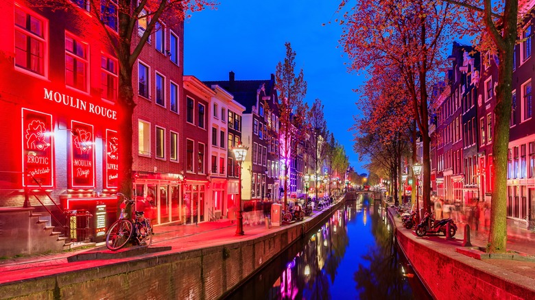 Amsterdam's Red Light district