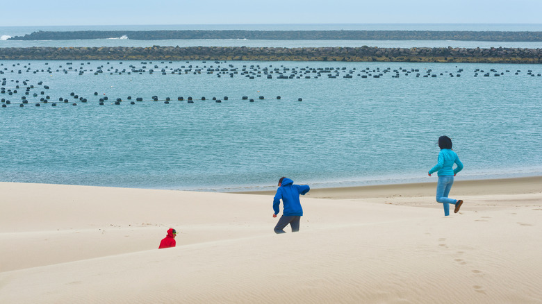 Visitors exploring the Winchester Bay dunes