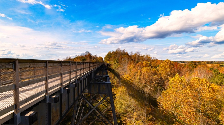 Fall foliage views from bridge