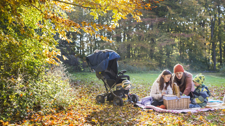 Family enjoying a picnic