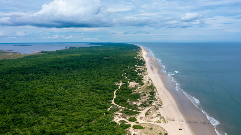 Aerial landscape of False Cape State Park