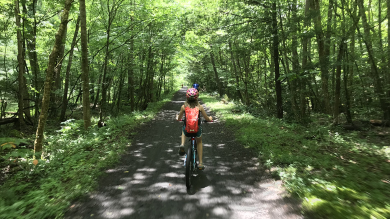 Girl riding bike through forest