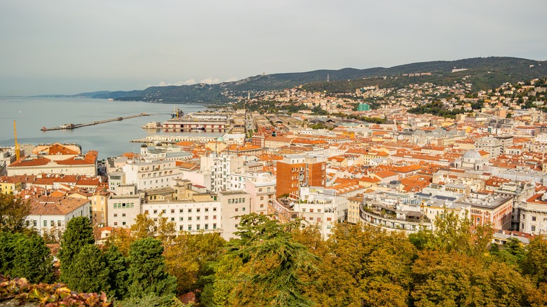 View from castle in Trieste