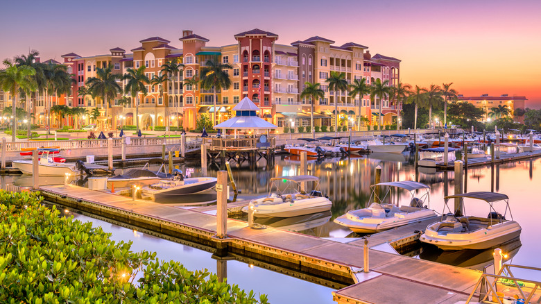 Naples Florida Marina and skyline