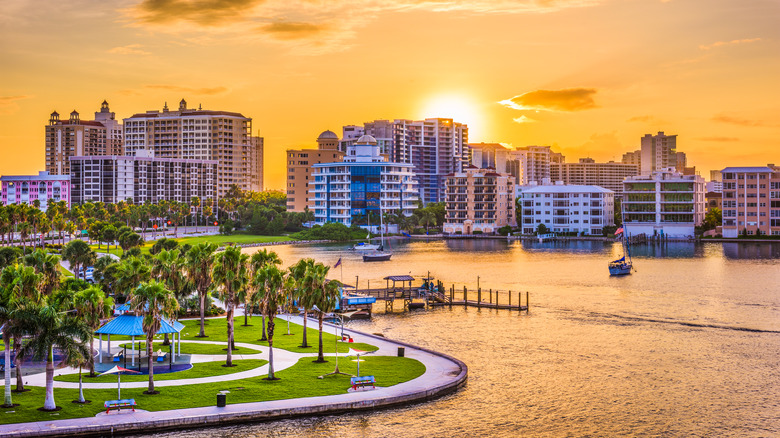 Park and skyline, Sarasota