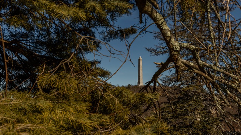 High Point Veterans Memorial behind trees