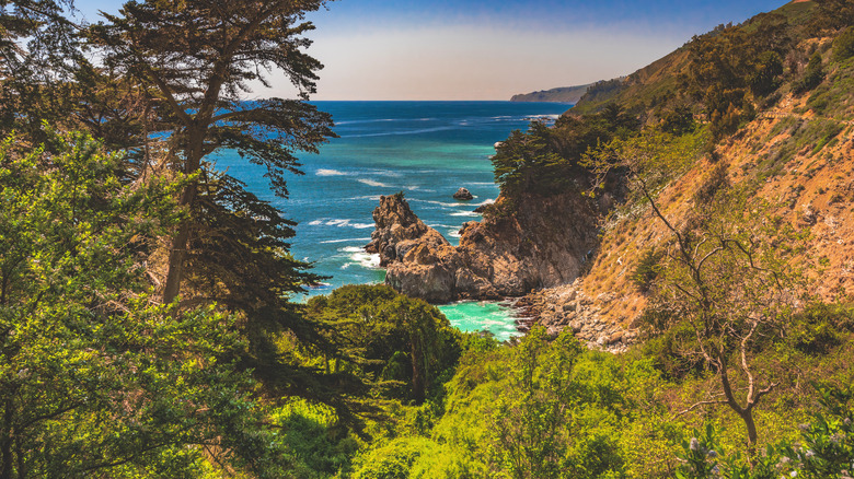 View of McWay Falls from trail