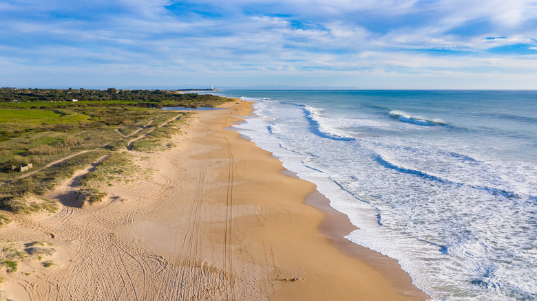 beach cadiz spain