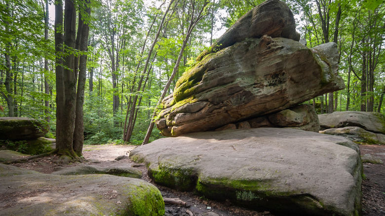 Allegany State Park hiking trail