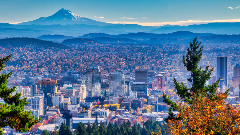 aerial view of Portland, Oregon