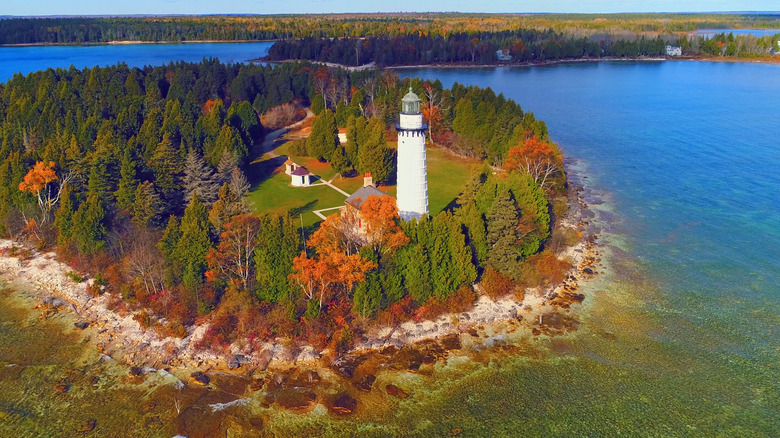 Lighthouse surrounded by trees