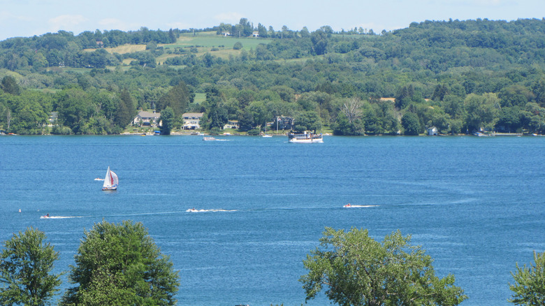 Boats on Lake Skaneateles 
