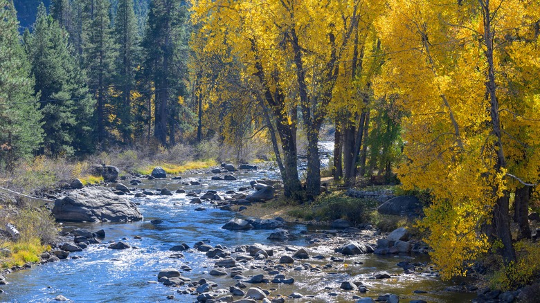 Truckee River, Truckee, California