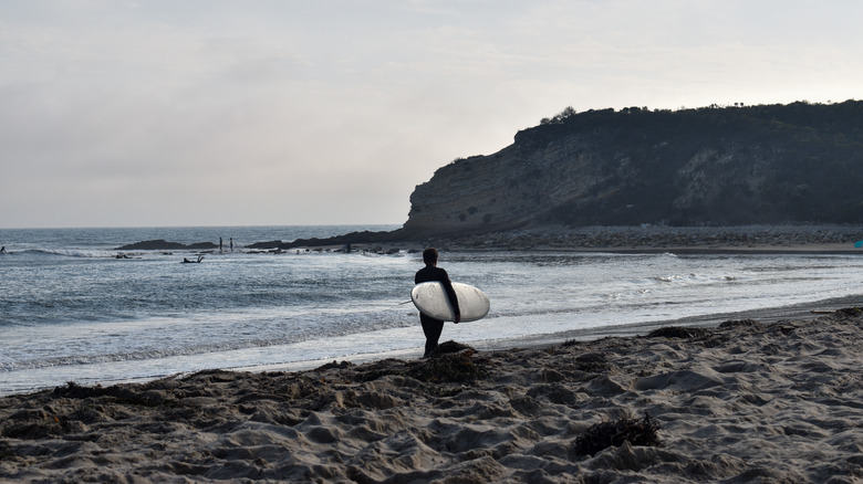 Person carrying a surf board