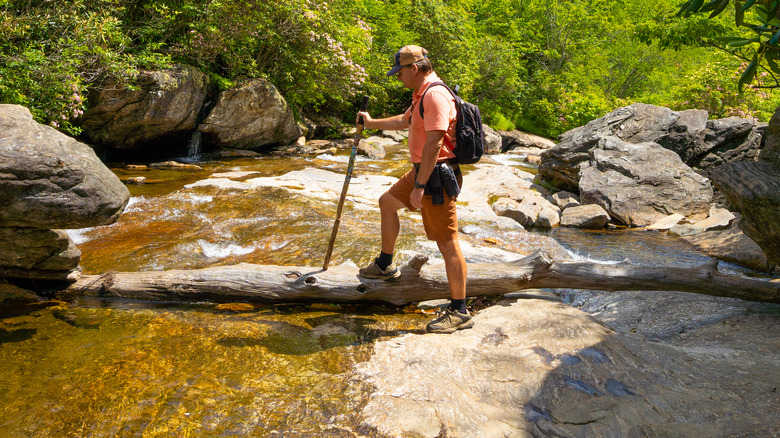 creek hiking in pisgah