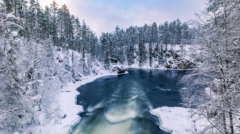Oulanka National Park in winter