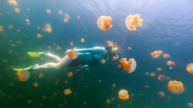 Woman snorkeling in Jellyfish Lake
