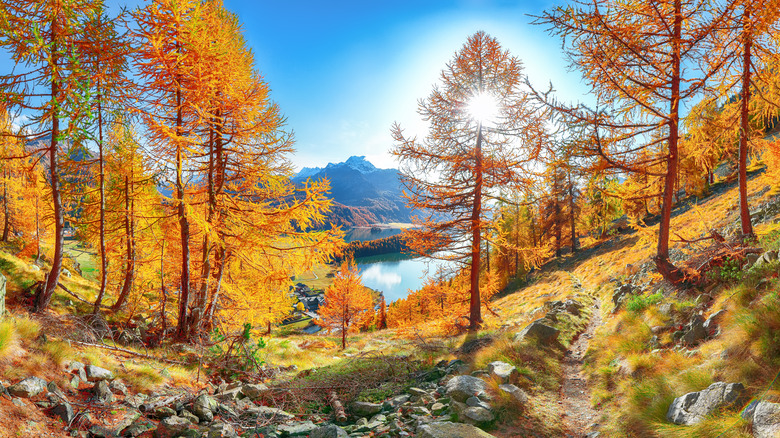 lake in the Swiss Alps